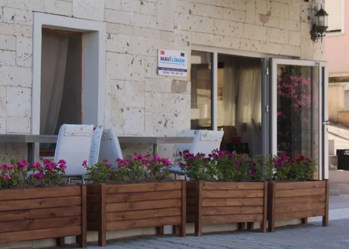 Mavi Liman *